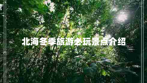 北海冬季旅游必玩景點(diǎn)介紹 北海冬季旅游必玩景點(diǎn)介紹