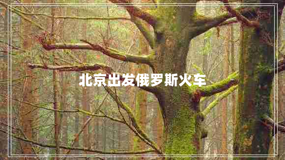 北京出發(fā)俄羅斯火車 北京出發(fā)俄羅斯火車