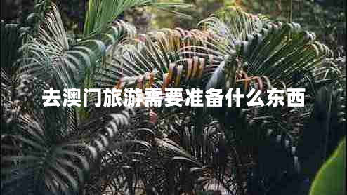 去澳門旅游需要準備什么東西