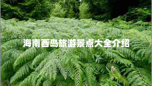 海南西島旅游景點(diǎn)大全介紹