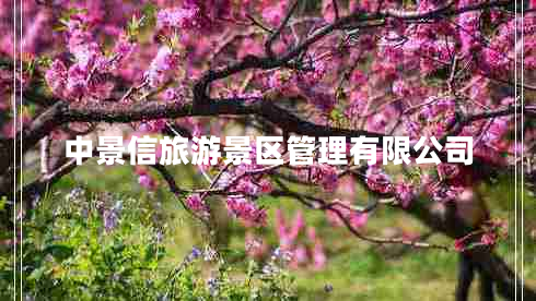 中景信旅游景區(qū)管理有限公司