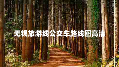 無錫旅游線公交車路線圖高清