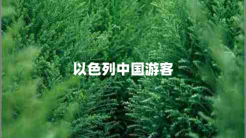 以色列中國(guó)游客