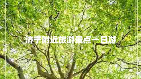 濟(jì)寧附近旅游景點(diǎn)一日游