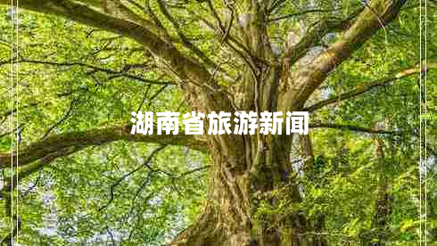 湖南省旅游新聞