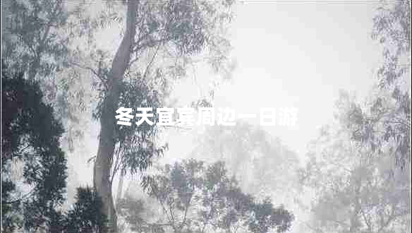 冬天宜賓周邊一日游