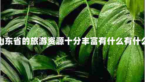 山東省的旅游資源十分豐富有什么有什么 山東省的旅游資源十分豐富有什么有什么