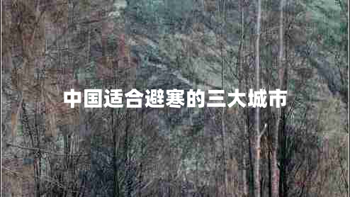 中國適合避寒的三大城市