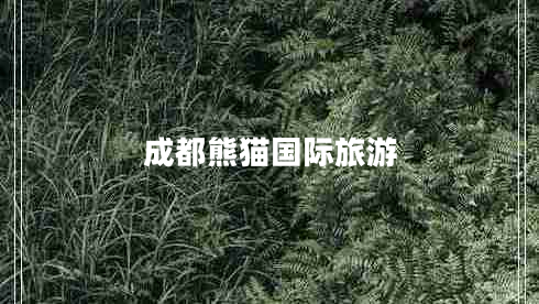 成都熊貓國際旅游