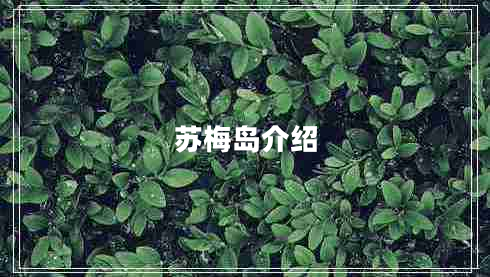 蘇梅島介紹