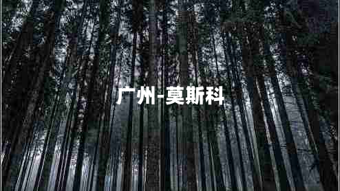 廣州-莫斯科 廣州-莫斯科