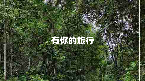 有你的旅行 有你的旅行