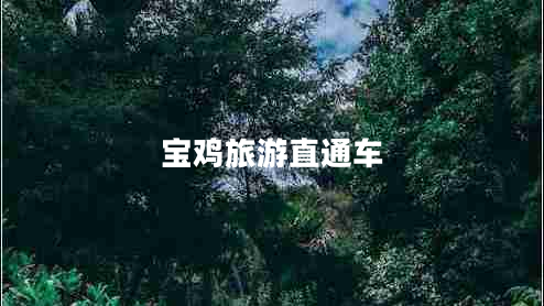 寶雞旅游直通車