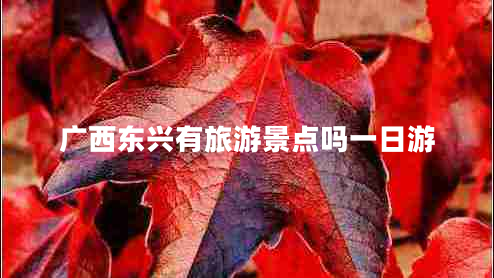 廣西東興有旅游景點(diǎn)嗎一日游 廣西東興有旅游景點(diǎn)嗎一日游
