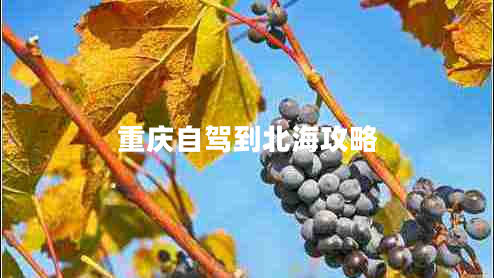 重慶自駕到北海攻略 重慶自駕到北海攻略