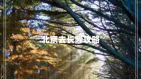 北京去長隆攻略