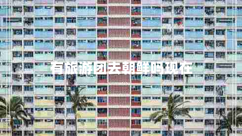 有旅游團(tuán)去朝鮮嗎現(xiàn)在