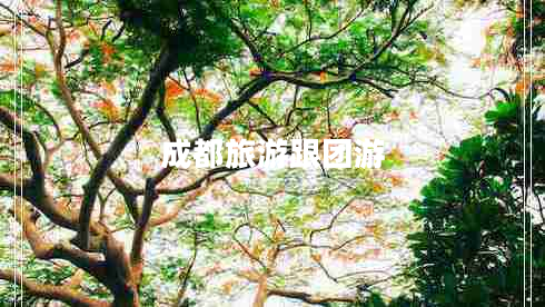 成都旅游跟團游 成都旅游跟團游