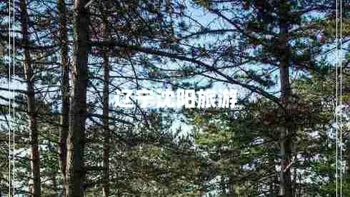 遼寧沈陽旅游 遼寧沈陽旅游