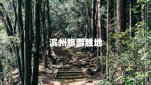 濱州旅游勝地 濱州旅游勝地