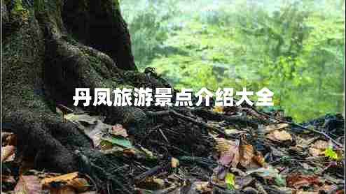 丹鳳旅游景點介紹大全