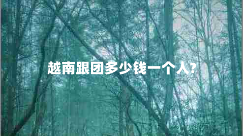 越南跟團多少錢一個人?