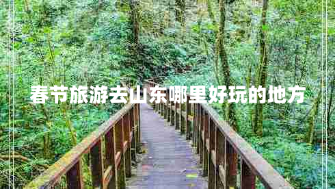 春節(jié)旅游去山東哪里好玩的地方 春節(jié)旅游去山東哪里好玩的地方