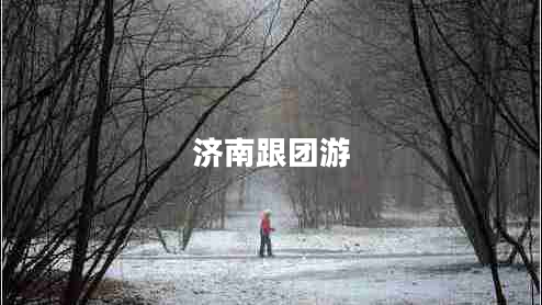 濟(jì)南跟團(tuán)游