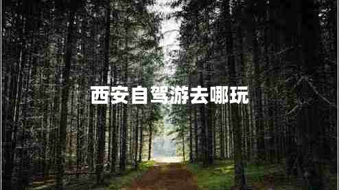 西安自駕游去哪玩