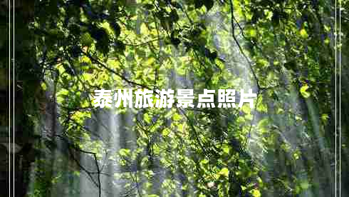 泰州旅游景點(diǎn)照片