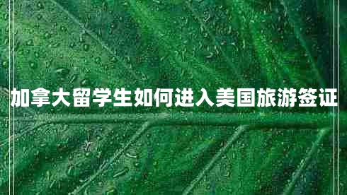 加拿大留學(xué)生如何進入美國旅游簽證