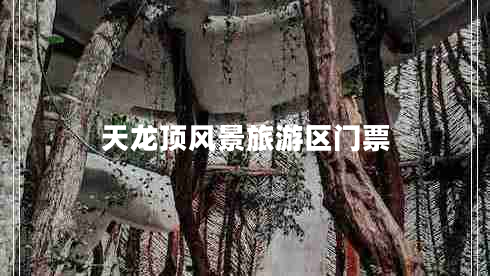 天龍頂風(fēng)景旅游區(qū)門票