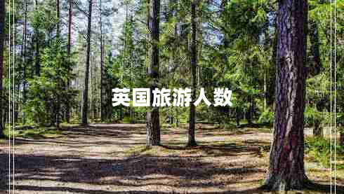 英國(guó)旅游人數(shù)