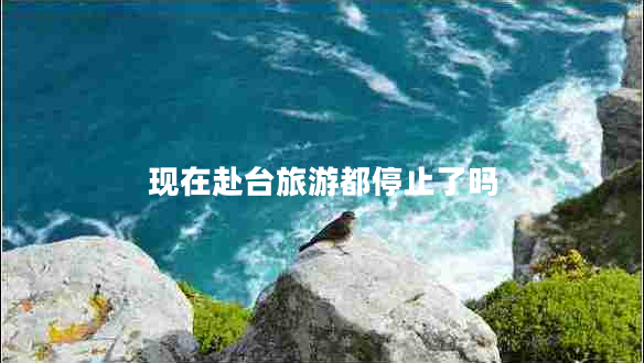 現(xiàn)在赴臺旅游都停止了嗎