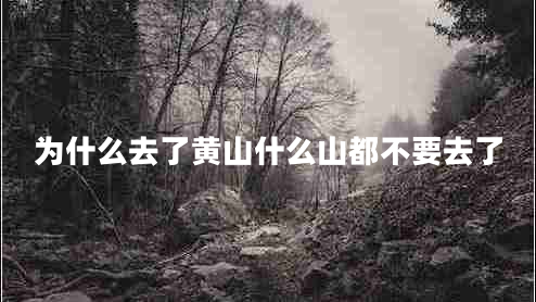 為什么去了黃山什么山都不要去了