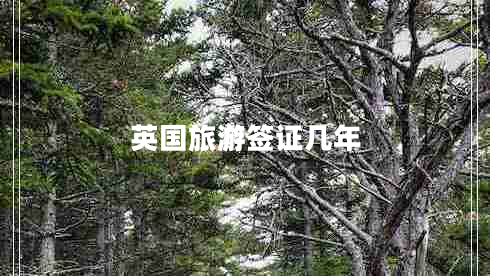 英國(guó)旅游簽證幾年