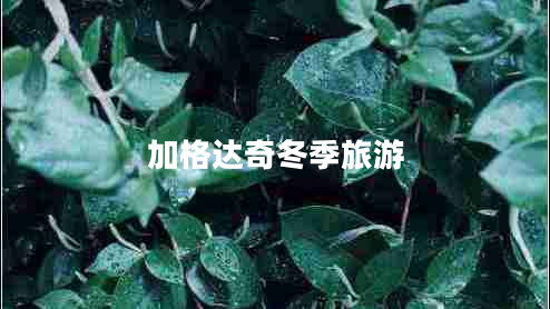 加格達奇冬季旅游 加格達奇冬季旅游