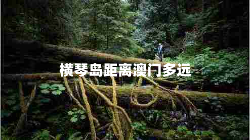 橫琴島距離澳門多遠