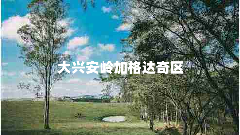 大興安嶺加格達(dá)奇區(qū) 大興安嶺加格達(dá)奇區(qū)