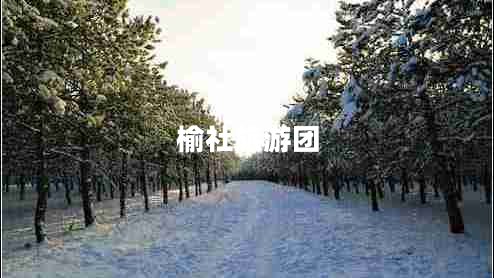 榆社旅游團 榆社旅游團