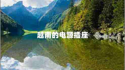 越南的電源插座