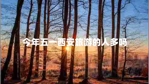 今年五一西安旅游的人多嗎