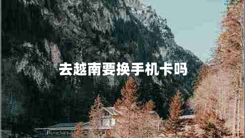 去越南要換手機(jī)卡嗎