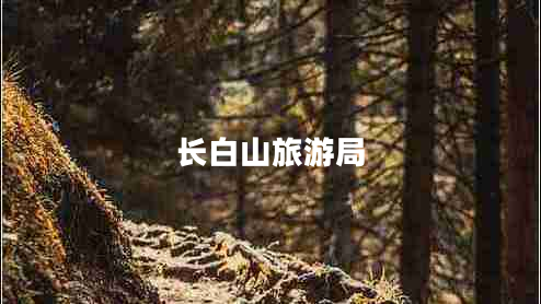 長(zhǎng)白山旅游局 長(zhǎng)白山旅游局