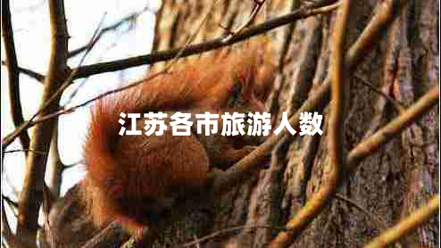 江蘇各市旅游人數(shù)