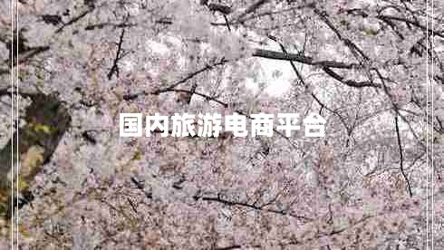 國內(nèi)旅游電商平臺(tái)