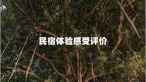 民宿體驗(yàn)感受評價(jià)