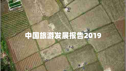 中國旅游發(fā)展報告2019
