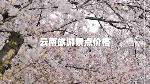 云南旅游景點(diǎn)價(jià)格