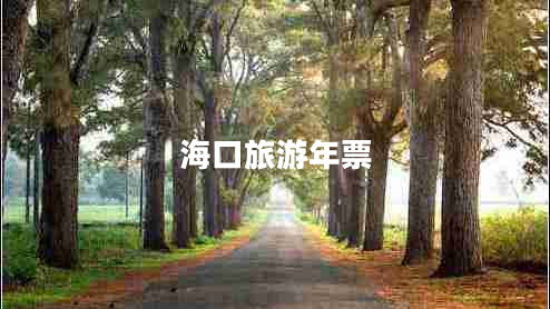 海口旅游年票